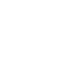 Sewer Imaging Icon