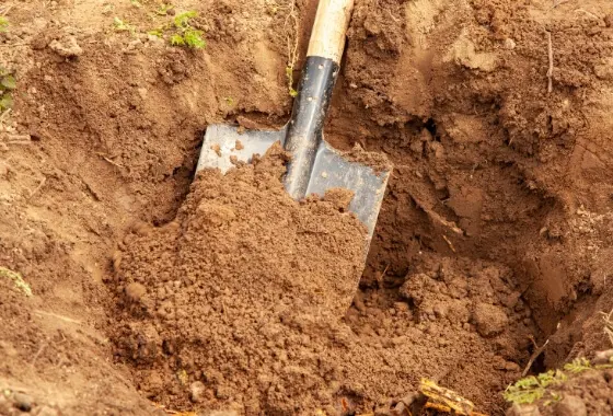 Dig with Care